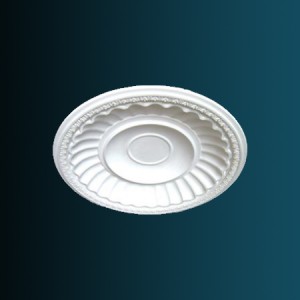 Купол B2004 в Рязани