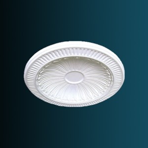 Купол B2007 в Рязани