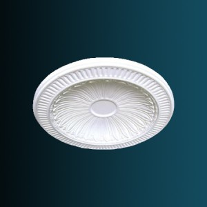 Купол B2010 в Рязани