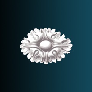Фрагмент орнамента G2094 в Рязани